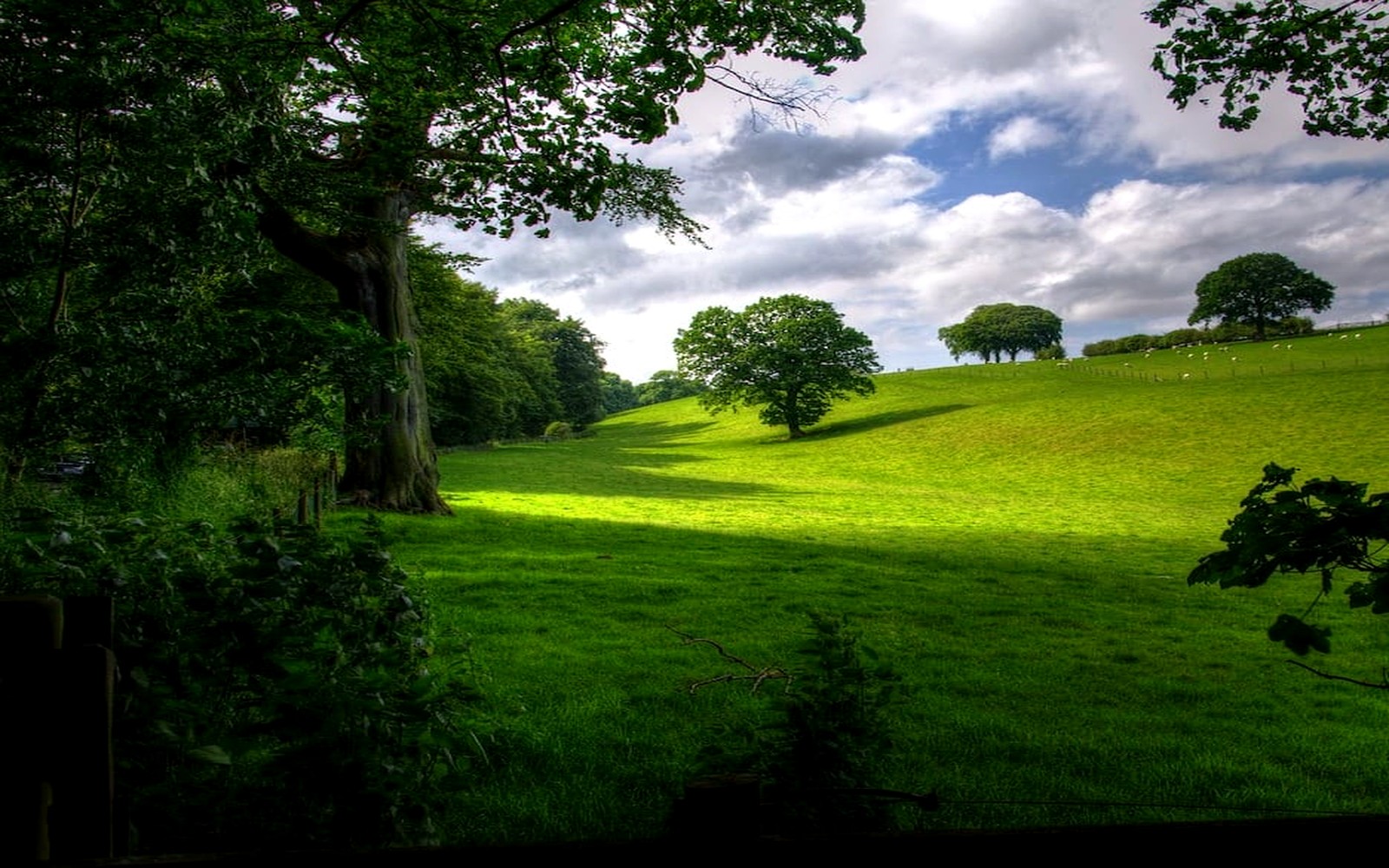 Glarner Bergwelt